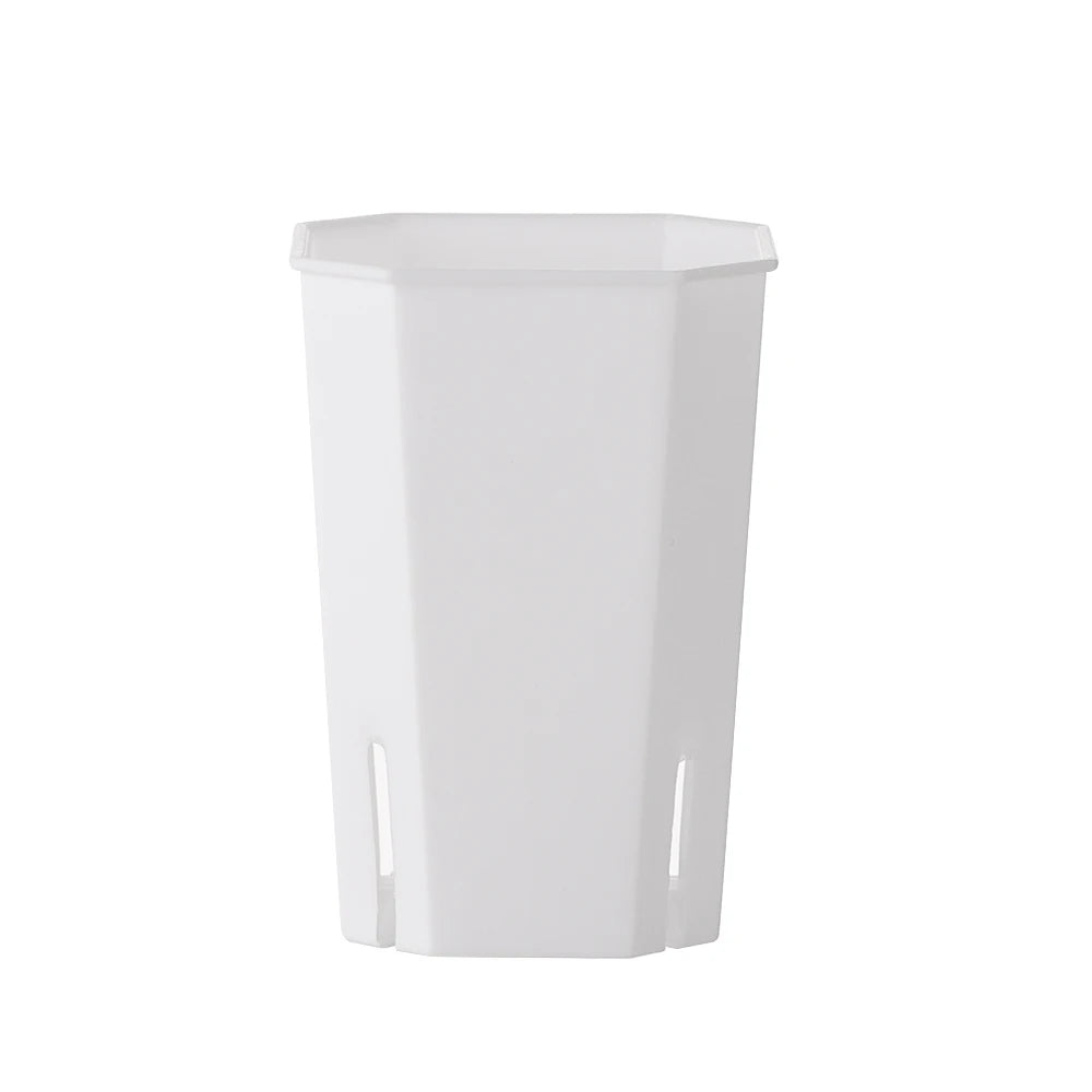 Octagonal Side-Opening Succulent Planter Pot | Desktop Flower Pot Succulent Planter Pot Richie's White-S