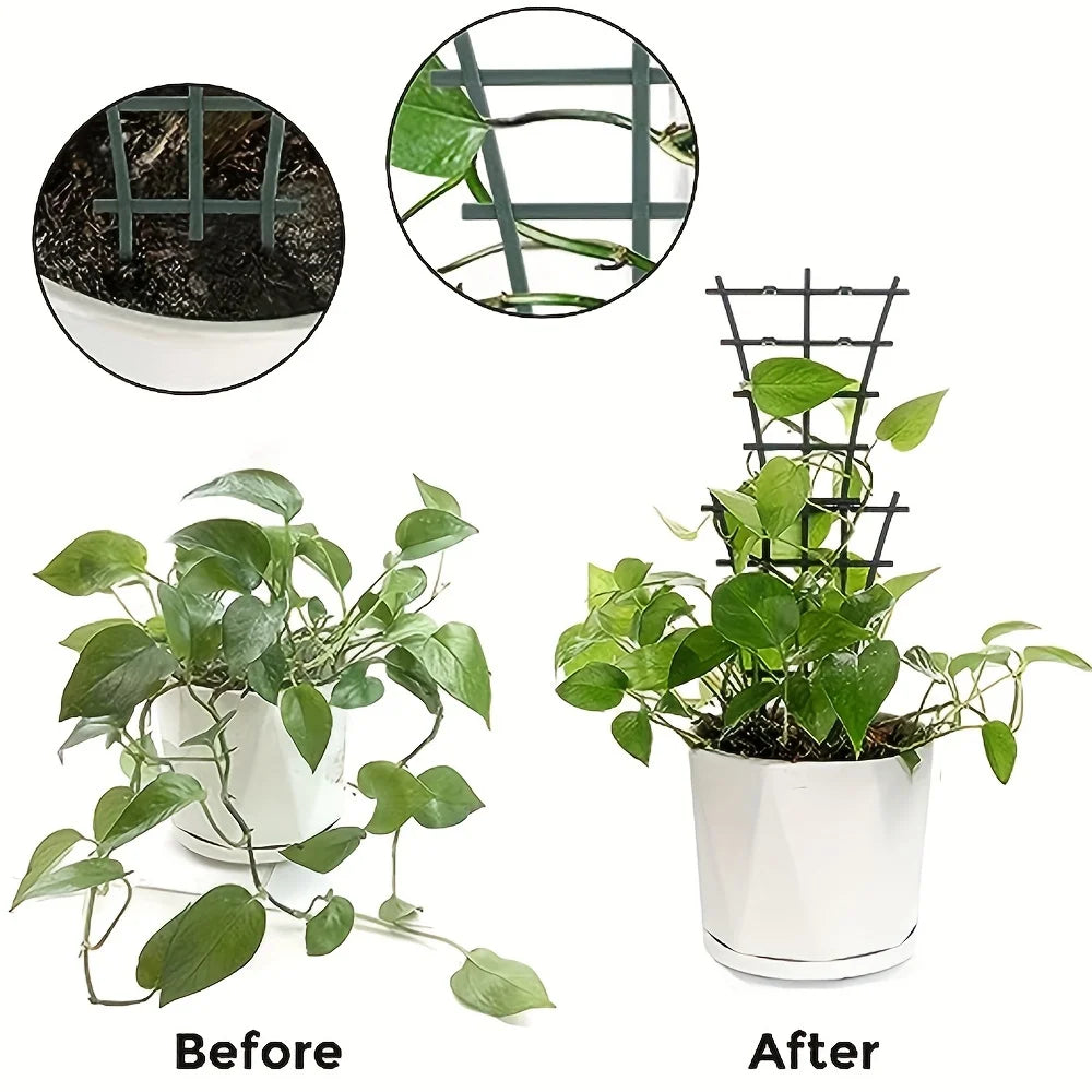 Stackable Plant Trellis Ladder – Indoor & Outdoor Climbing Support Plant Trellis Ladder Richie's