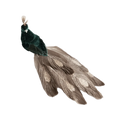 Peacock Clip Christmas Ornament Feather Fabric Hanging Decor Christmas Ornament Richie's Green
