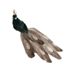 Peacock Clip Christmas Ornament Feather Fabric Hanging Decor Christmas Ornament Richie's Green