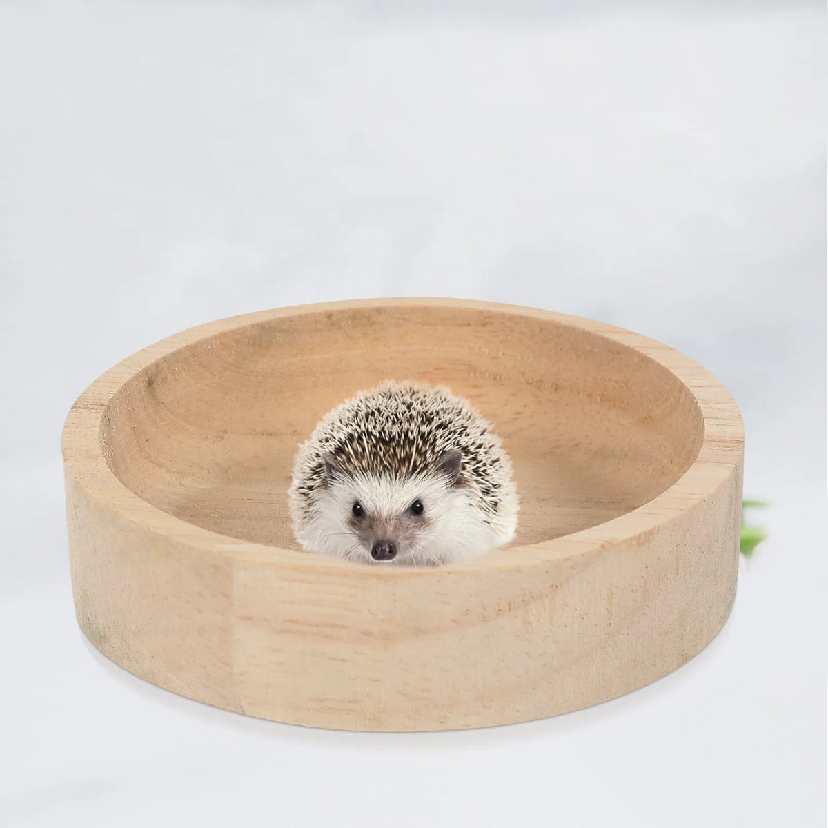 Natural Wood Pet Food Bowl for Hamsters & Small Animals Small Animal Feeder Richie's