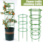 Plant Support Stakes Round Ring Trellis Cage – Green Plastic Plant Support Cage Richie's