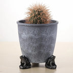 3-Piece Animal Resin Plant Pot Feet | Bonsai & Flower Pot Stand Plant Pot Feet Richie's