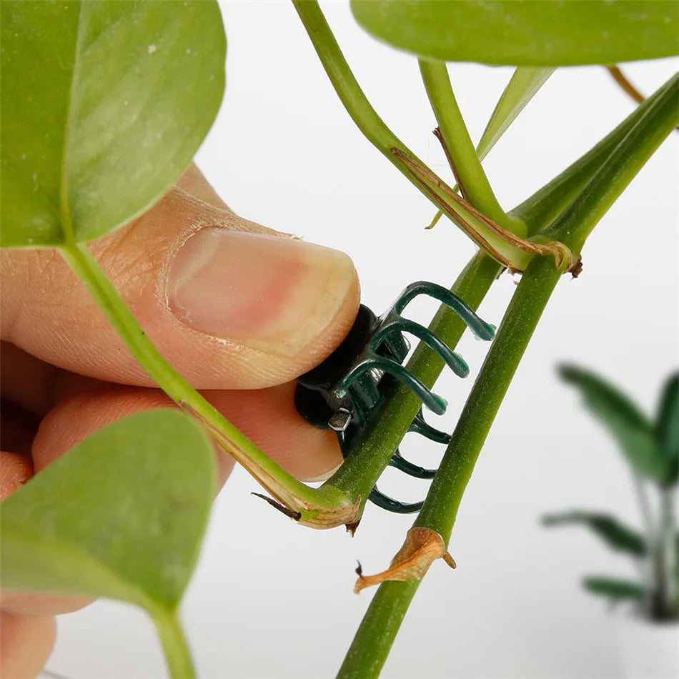 100pc Plant Support Clips for Orchids, Vines & Climbing Plants Plant Support Clips Richie's