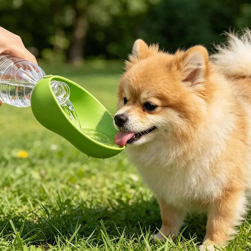Portable Dog Water Bottle & Pet Drinking Cup – Outdoor Use Pet Water Bottle Richie's