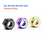TC4 Titanium Alloy Nyloc Self-Locking Hex Nuts M4–M12 Titanium Lock Nuts Richie's