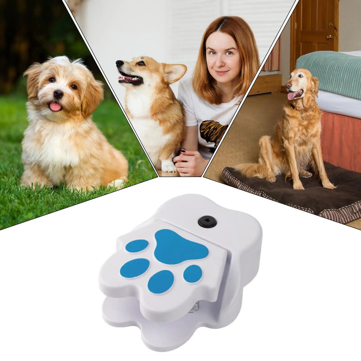 Interactive Step-On Dog Water Fountain – Outdoor Garden Pet Toy Pet Water Fountain Richie's