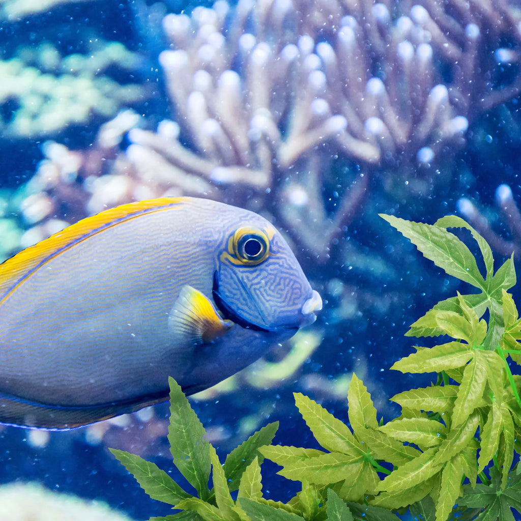 Artificial Hanging Aquatic Plant | Realistic Fish Tank Décor Aquarium Decoration Richie's