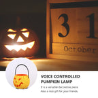 Voice Control Halloween Pumpkin Lantern LED Tabletop Lamp Halloween Lantern Richie's