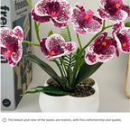 Artificial Butterfly Orchid Bonsai White Faux Flower Décor Artificial Flower Bonsai Richie's