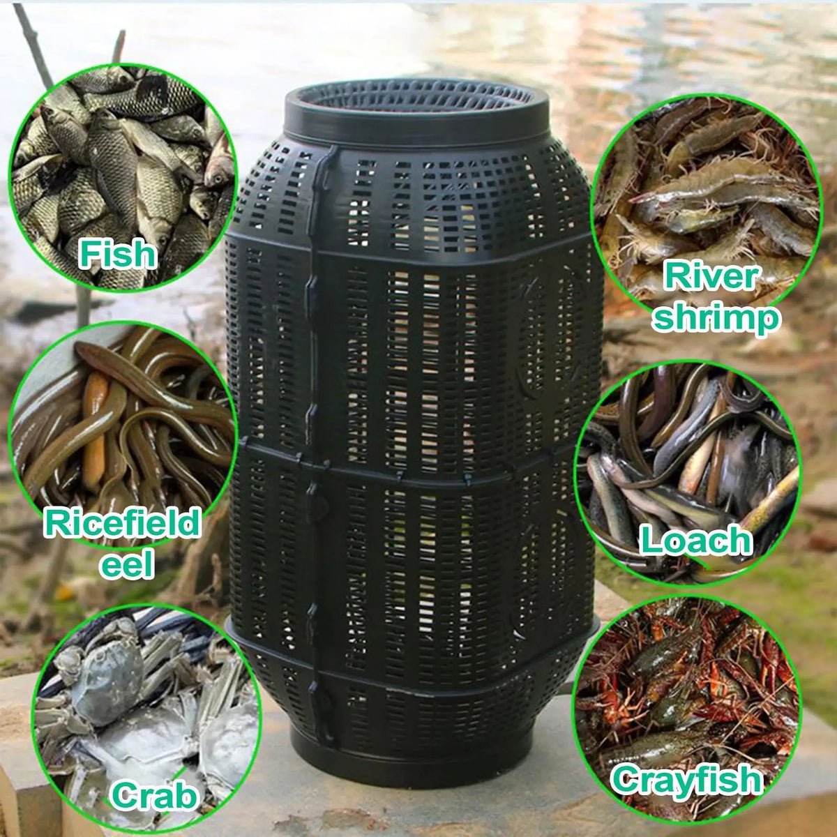Portable Fish Trap Cage – Crayfish, Crab, Eel & Shrimp Fish Trap Cage Richie's