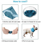 Pet Cooling Towel Scarf with Leash Hole | Dog Ice Collar Dog Cooling Scarf Richie's