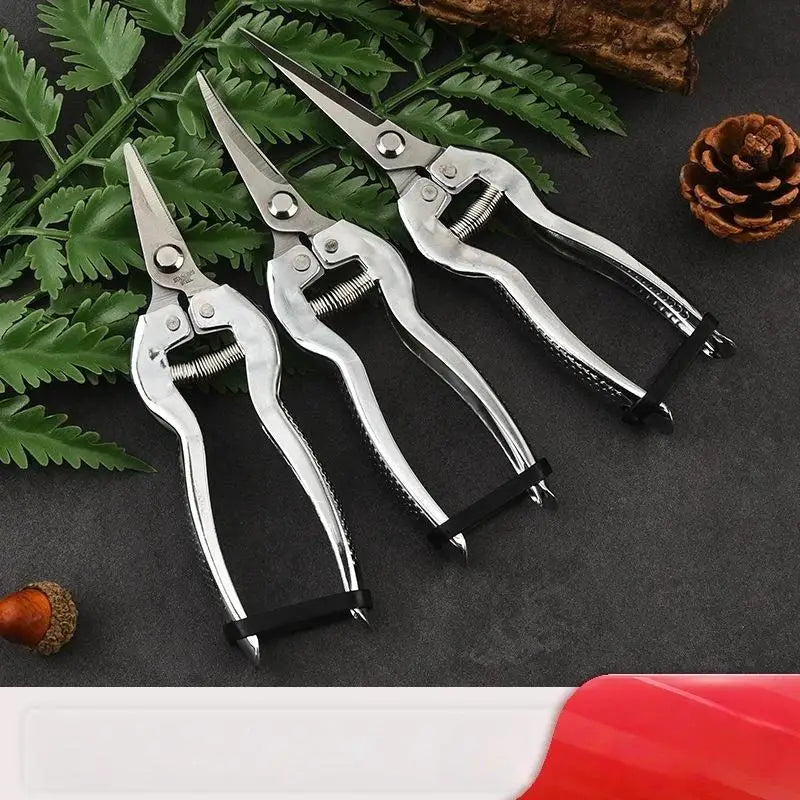 Stainless Steel Pruning Shears – Sharp Precision Garden Shears Pruning Shears Richie's