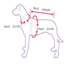 Cowboy Rider Dog Costume – Funny Halloween Pet Cosplay Outfit Dog Costume Richie's