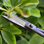 FATCOOL Long Handle Bonsai Pruning Shears Garden Scissors Pruning Shears Richie's
