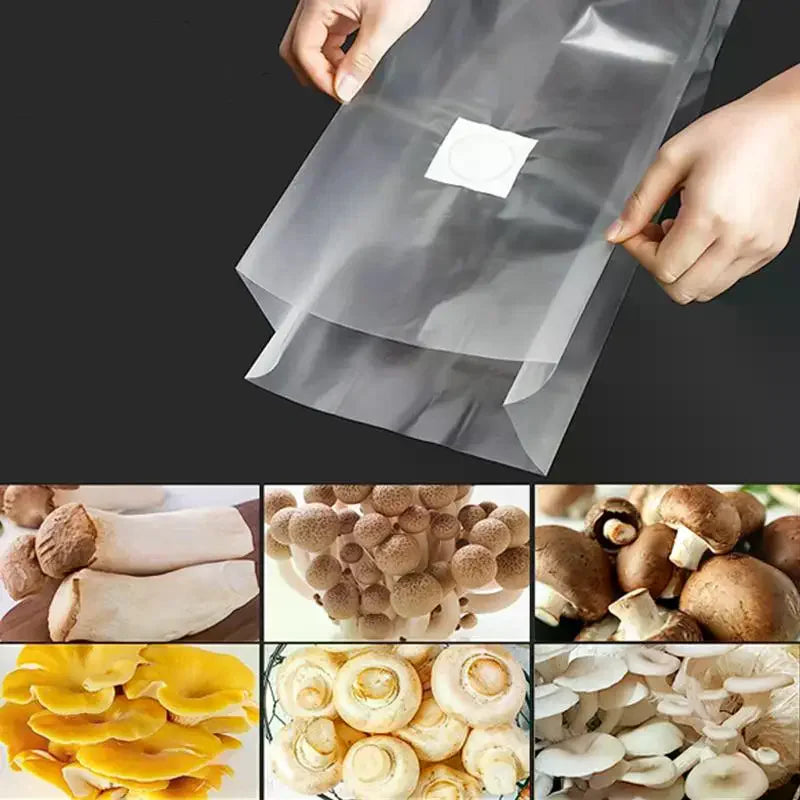Mushroom Cultivation Bags 10Pcs Transparent Grow Bags Filter Patch Mushroom Grow Bags Richie's