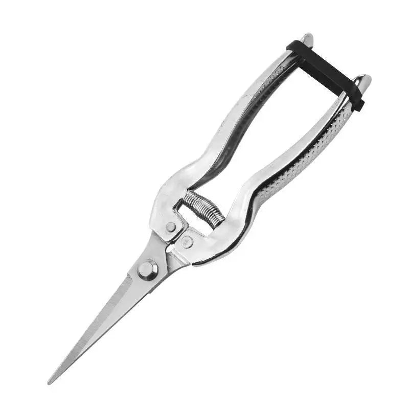 Stainless Steel Pruning Shears – Sharp Precision Garden Shears Pruning Shears Richie's B