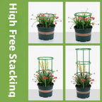 Plant Support Stakes Round Ring Trellis Cage – Green Plastic Plant Support Cage Richie's