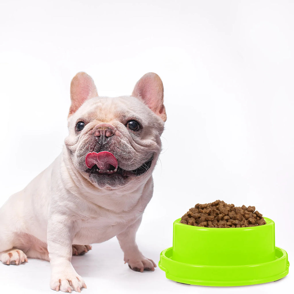 Anti-Ant Elevated Pet Food Bowl – Small Dogs & Cats Elevated Pet Bowl Richie's