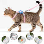Adjustable Breathable Mesh Cat & Small Dog Harness + Leash Set Pet Harness Set Richie's