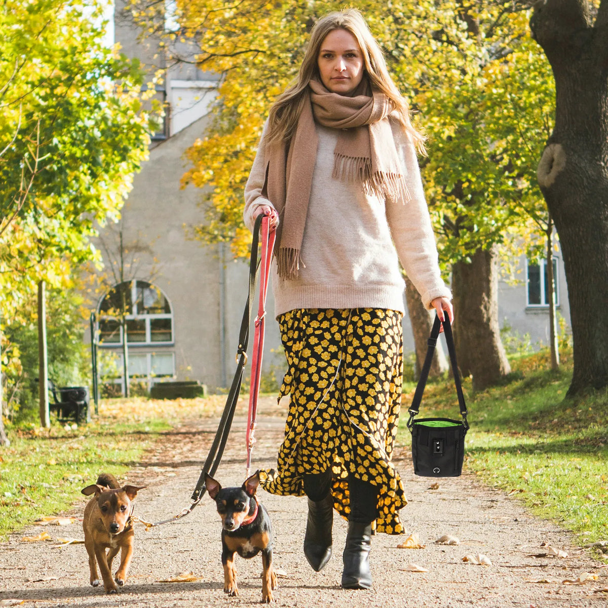 Retro Dog Treat Pouch Set | Lightweight Training Bag for Walks Dog Training Pouch Richie's