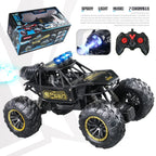2.4G RC Off-Road Alloy Car with Lights, Music & Spray RC Off-Road Car Richie's Bd014-H