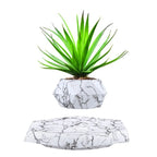 Magnetic Levitation Floating Bonsai Pot Geometric Desk Ornament Levitating Desk Ornament Richie's