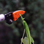 Aluminum Long Reach Pole Pruner – Bypass Lopper for Trees Bypass Pole Pruner Richie's