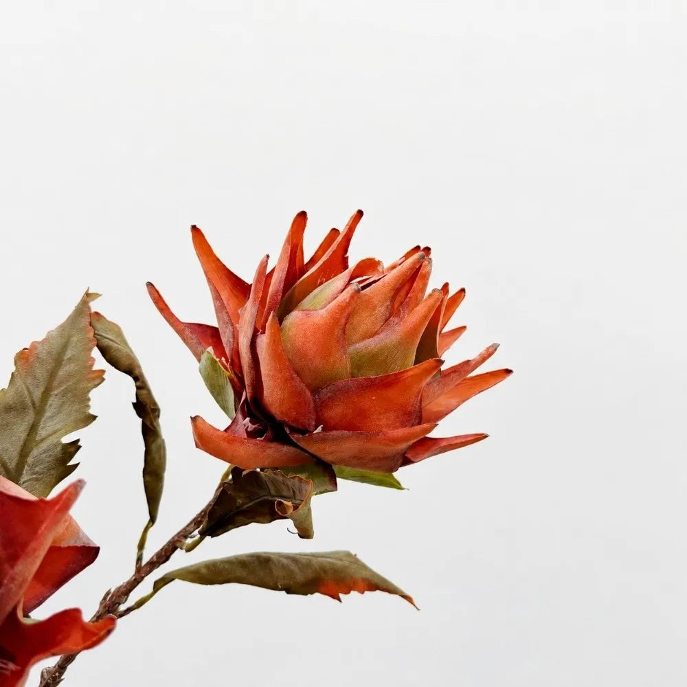 Flocked Artificial Emperor Protea Flower Large Silk Bloom 65cm Artificial Flower Richie's L-Orange