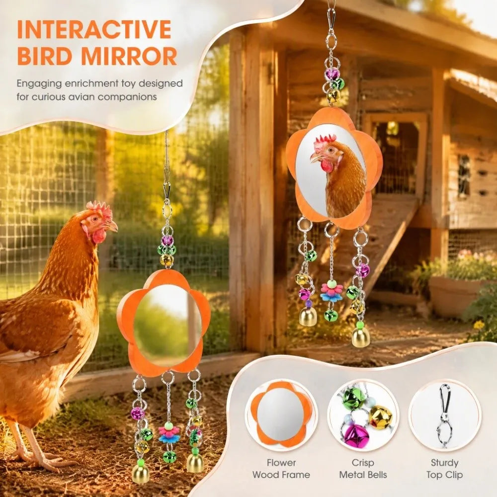 Bird Hanging Mirror Toy with Bells & Beads – Orange Bird Cage Toy Richie's