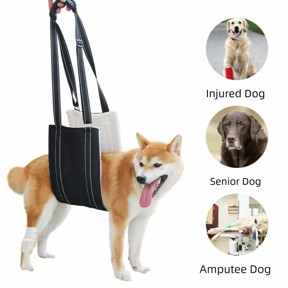 Adjustable Dog Lift Harness – Hind Leg Support Sling S–XL Dog Lift Harness Richie's
