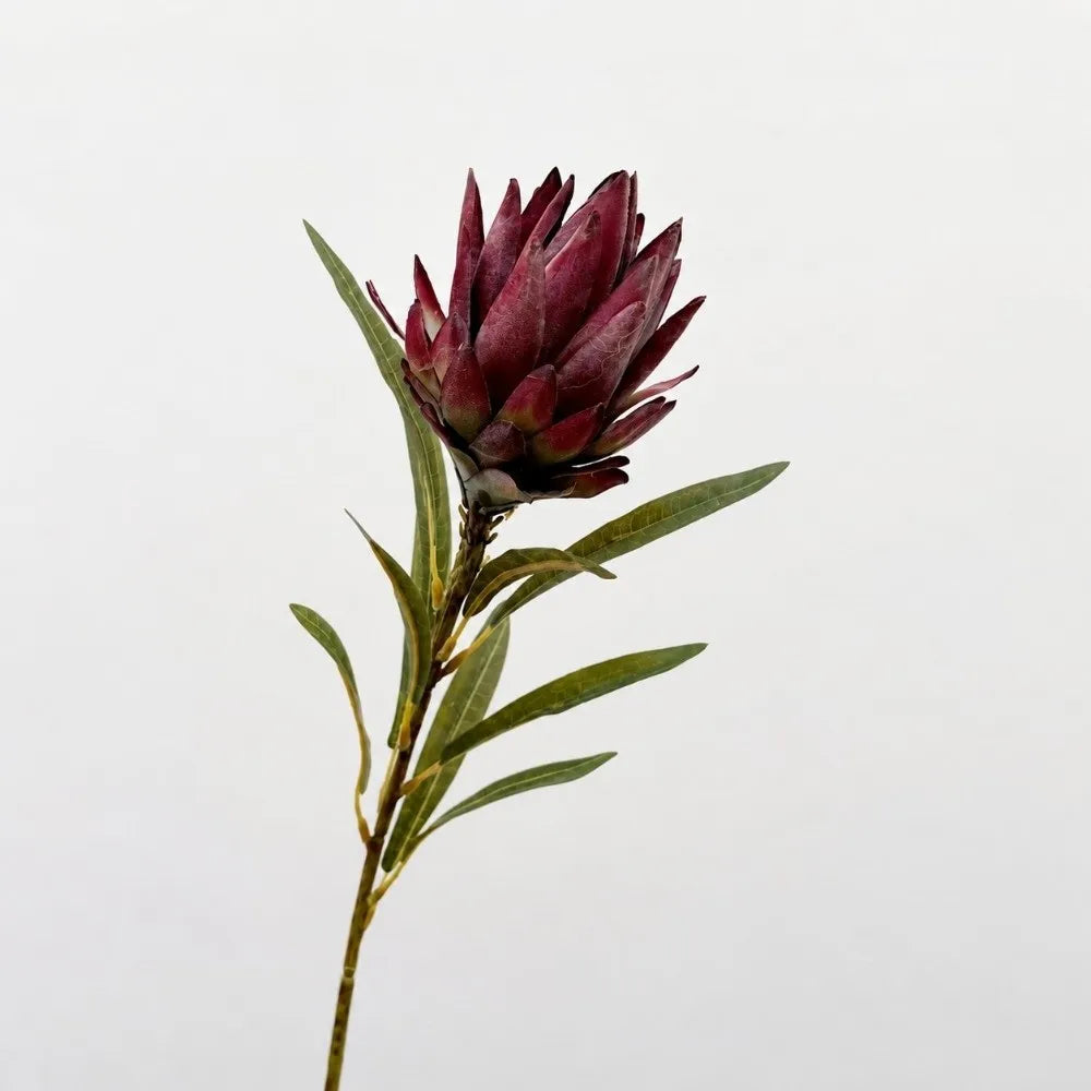 Flocked Artificial Emperor Protea Flower Large Silk Bloom 65cm Artificial Flower Richie's B-Red