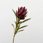 Flocked Artificial Emperor Protea Flower Large Silk Bloom 65cm Artificial Flower Richie's B-Red