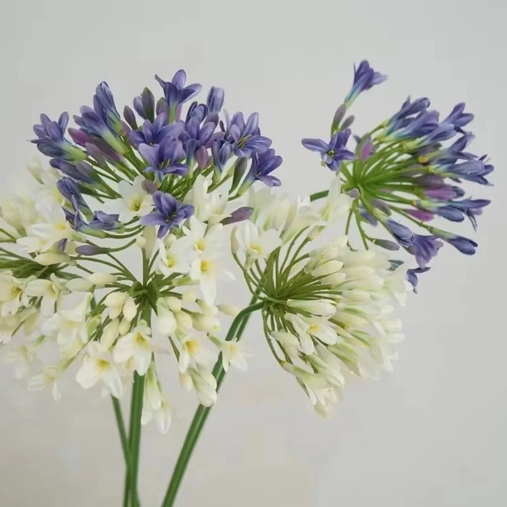 Artificial Agapanthus Flower Branch 75cm – Faux Floral Decor Artificial Flower Branch Richie's