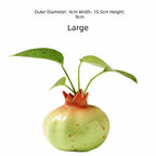 Handmade Ceramic Pomegranate Vase – Tabletop Flower Vase Ceramic Tabletop Vase Richie's