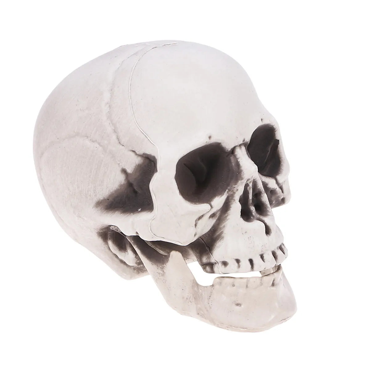 High Detail Skull Ornament – Halloween & Haunted House Decor Halloween Skull Ornament Richie's