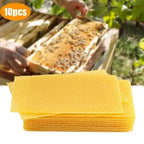 10 Pcs Beeswax Honeycomb Foundation Sheets – Beekeeping Beekeeping Foundation Richie's