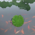 6-Pack Artificial Floating Lotus Leaves – Aquarium & Pond Decor Aquarium Pond Decor Richie's 10X10X0.2CM