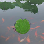 6-Pack Artificial Floating Lotus Leaves – Aquarium & Pond Decor Aquarium Pond Decor Richie's 10X10X0.2CM