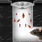 Stainless Steel Sink Strainer & Shower Drain Hair Catcher Sink Drain Strainer Richie's