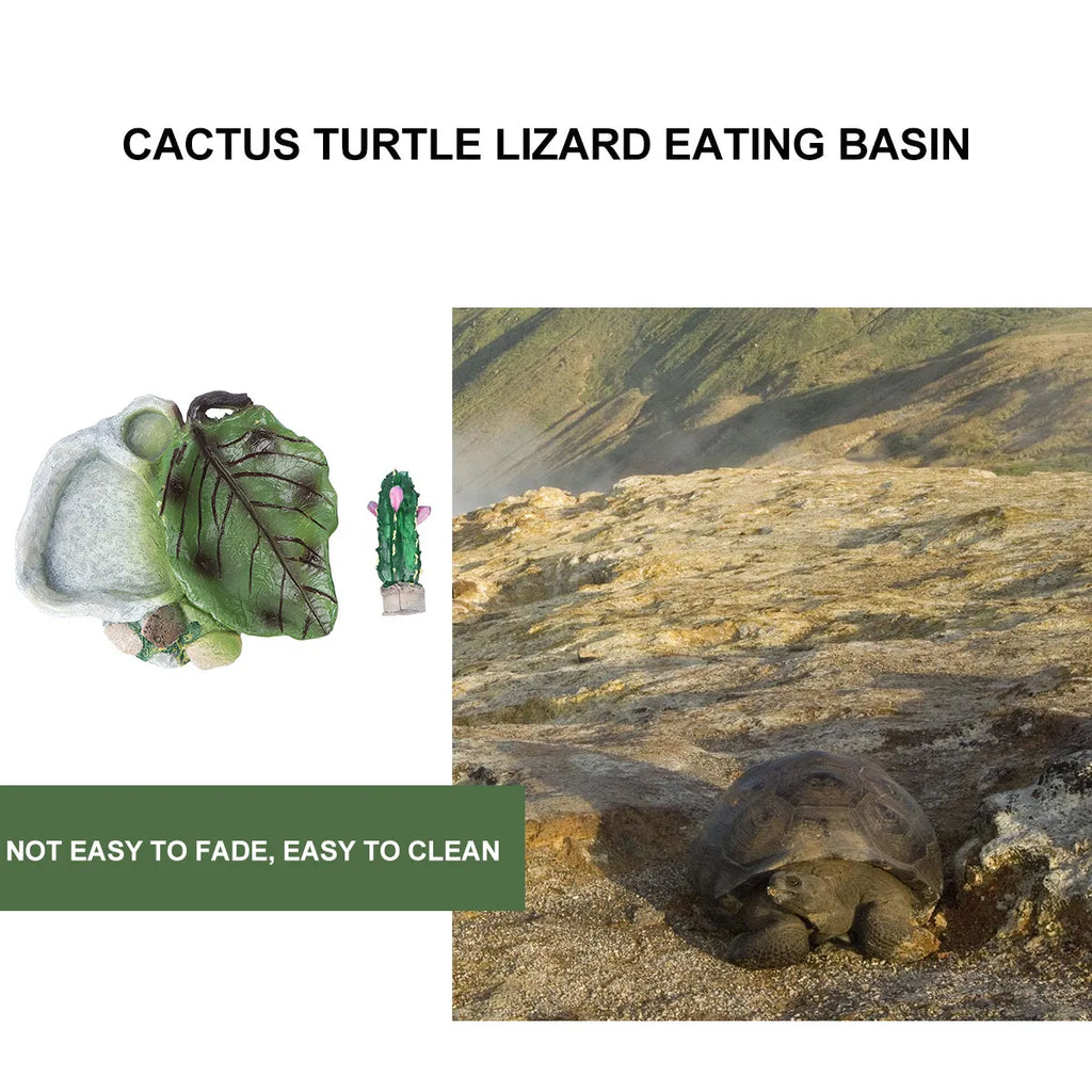 Reptile Cactus Food & Water Bowl – Easy Clean, Odor Resistant Reptile Feeding Bowl Richie's
