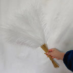 10PCS Fluffy Pampas Grass Artificial Stems 55CM | Wedding Decor