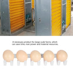 5pcs PP Egg Picker Clamp – Auto Egg Collection Machine Part Egg Picker Accessory Richie's