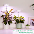 USB Angel Ring Grow Light – Full Spectrum Clip Plant Lamp LED Grow Light Richie's 3Colors USB 2Heads