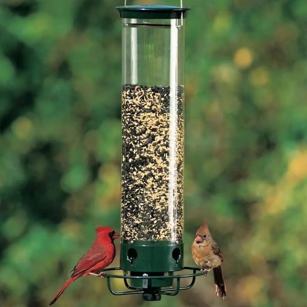 Squirrel-Proof Wild Bird Feeder – Large Capacity Hanging Wild Bird Feeder Richie's