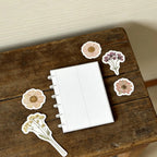 Photo Booth Album Book – Clear Keepsake Scrapbook Memory Book Photo Booth Album Richie's