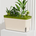 Modern Self-Watering Planter Pot with Water Level Window Self-Watering Planter Richie's Green