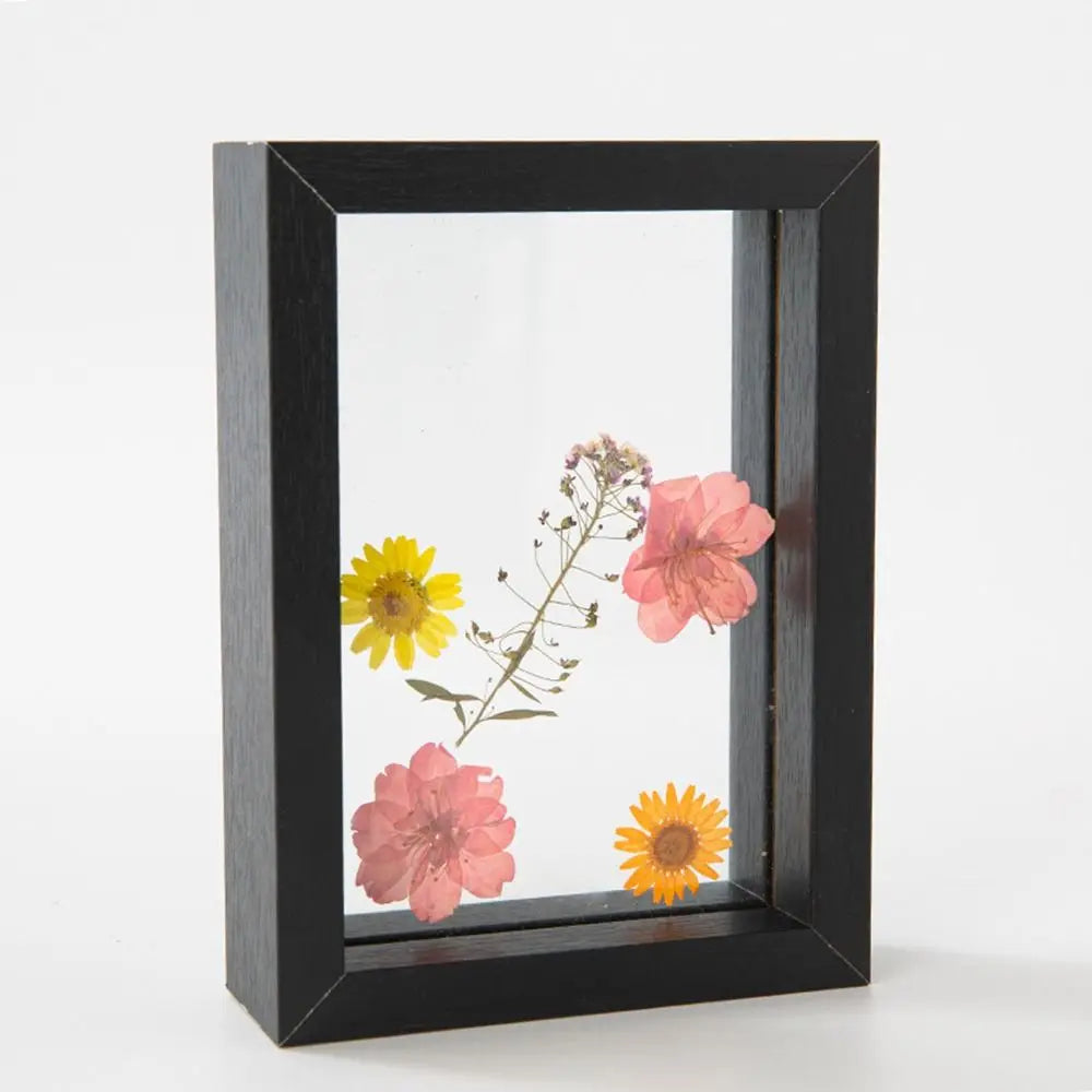 Wooden Glass Leaf Specimen Frame – Double-Sided Display Specimen Display Frame Richie's