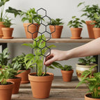 3-Pack Plant Support Frames for Climbing Plants & Vegetables Plant Support Frame Richie's