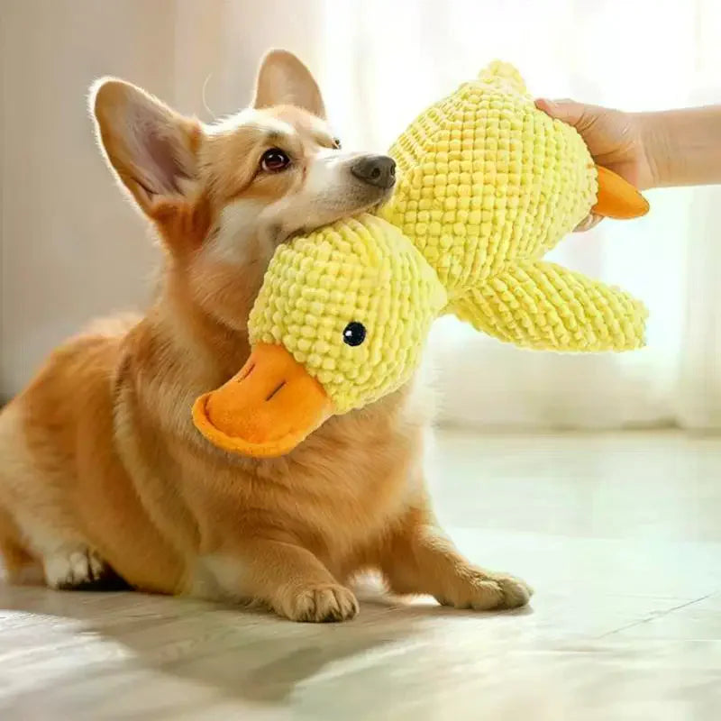 Squeaky Plush Duck Dog Toy – Chew Toy for All Breeds Dog Chew Toy Richie's